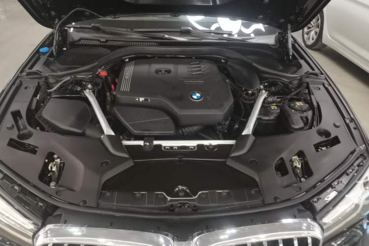 Used BMW 5 Series 2022 Revised Version 3 530Li Luxury Edition Premium Package Engine Bay