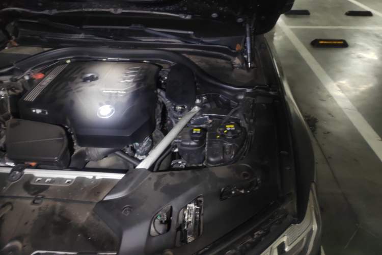 Used BMW 5 Series 2022 Revised Version 3 530Li Luxury Edition M Sport Package Engine Bay Left