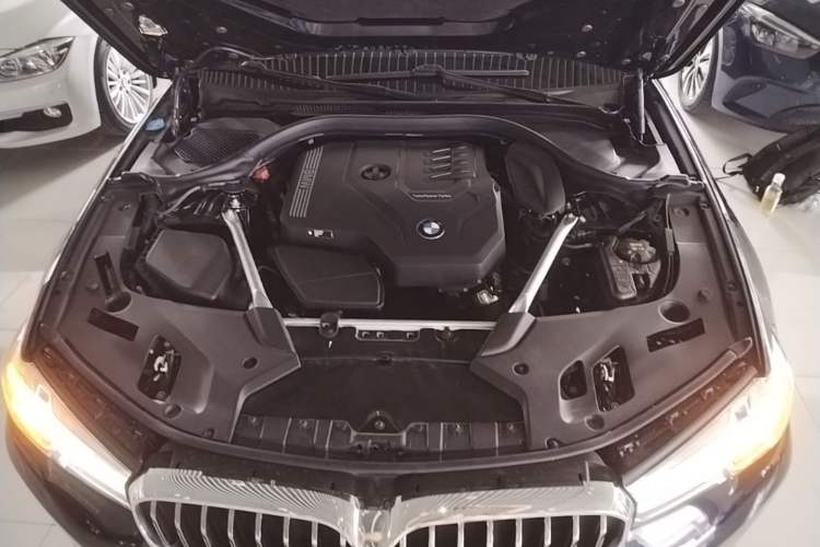 Used BMW 5 Series 2022 Second Facelift 525Li Luxury Package Engine Bay