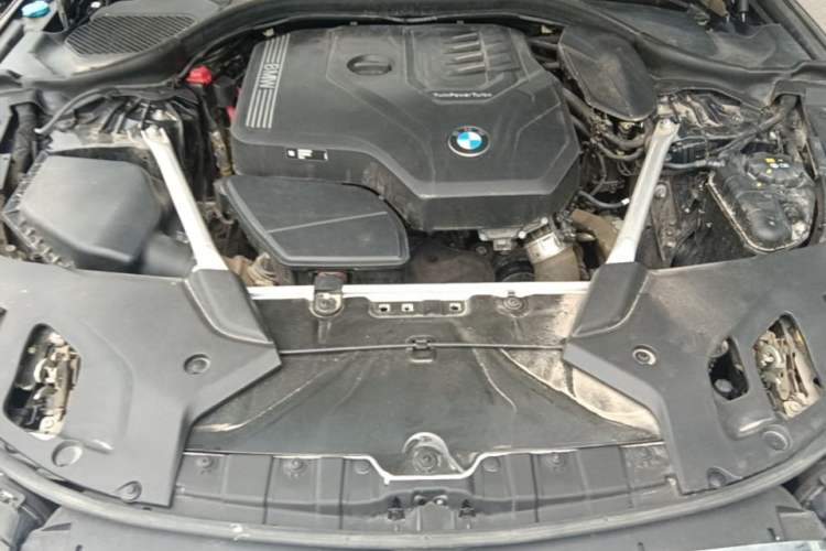 Used BMW 5 Series 2022 Second Facelift 525Li M Sport Package Engine Bay