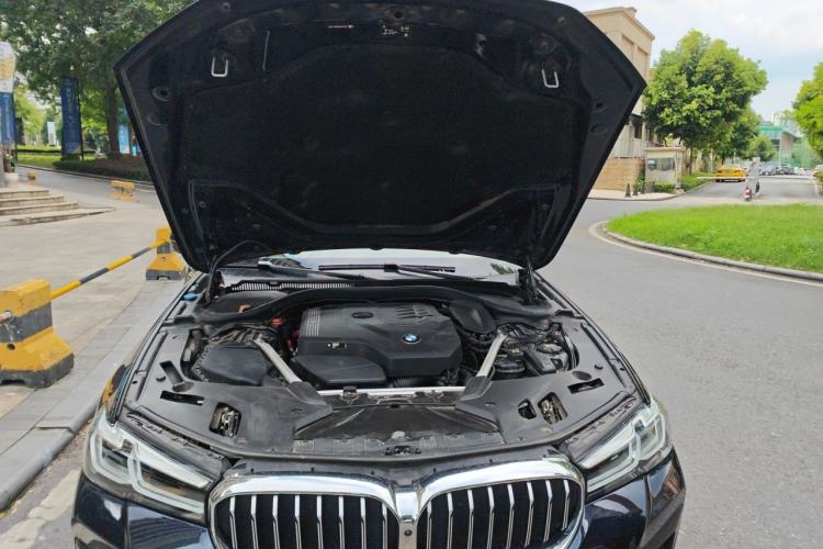 Used BMW 5 Series 2022 530Li Luxury Edition M Sport Package Engine Bay