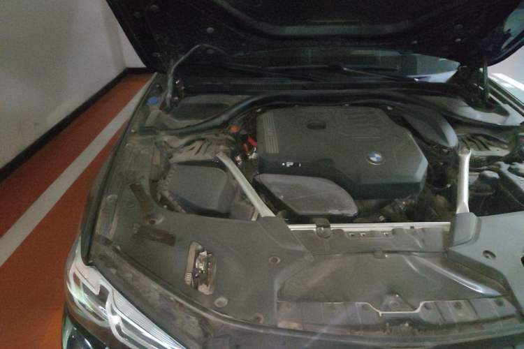 Used BMW 5 Series 2022 Second Facelift 530Li Luxury Version M Sport Package Engine Bay Right