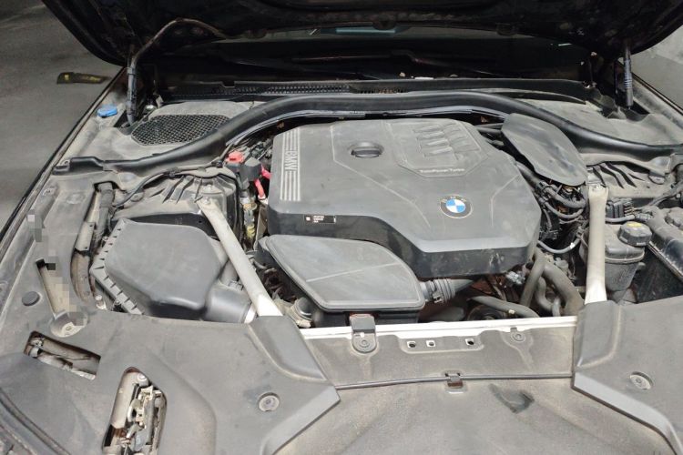 Used BMW 5 Series 2022 Second Facelift 530Li Luxury Edition Premium Package Engine Bay Right