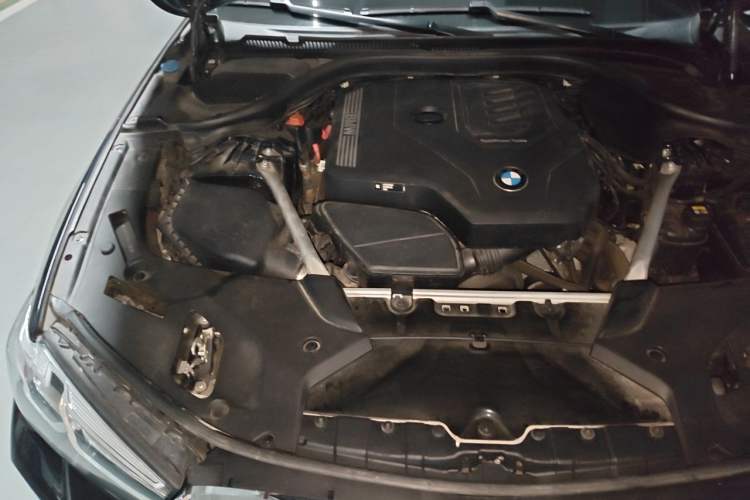 Used BMW 5 Series 2022 Revised Version 530Li xDrive M Sport Package Engine Bay Right
