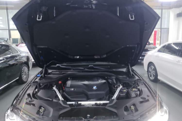 Used BMW 5 Series 2022 530Li Leading Model M Sport Package Engine Bay