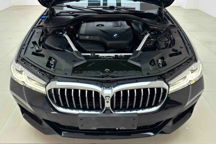 Used BMW 5 Series 2022 530Li Luxury Edition M Sport Package Engine Bay