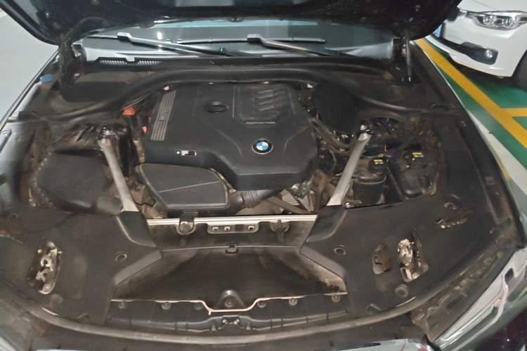 Used BMW 5 Series 2022 Revised Version 530Li xDrive M Sport Package Engine Bay
