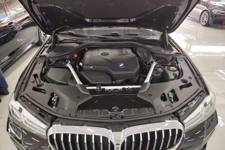 Used BMW 5 Series 2022 Restyled 530Li Luxury Edition M Sport Package Engine Bay