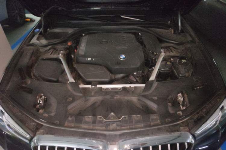 Used BMW 5 Series 2022 Revised Version 530Li xDrive M Sport Package Engine Bay