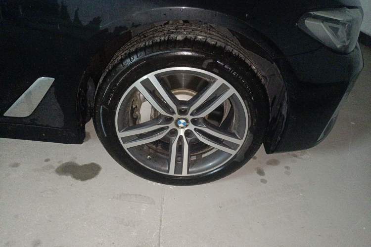 Used BMW 5 Series 2022 Updated 530Li Leading Edition Luxury Package Exterior 7