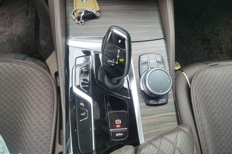 Used BMW 5 Series 2022 530Li xDrive Luxury Package Gear Lever
