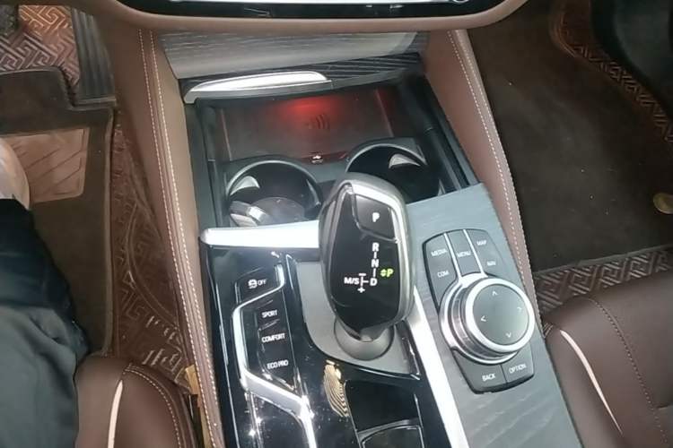 Used BMW 5 Series 2022 Revised Version 530Li xDrive M Sport Package Gear Lever