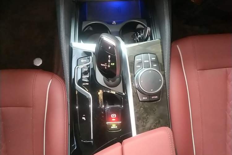 Used BMW 5 Series 2022 Second Facelift 525Li M Sport Package Gear Lever