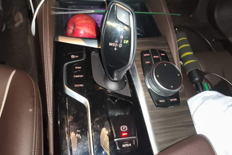 Used BMW 5 Series 2022 Second Facelift 530Li Luxury Version M Sport Package Gear Lever