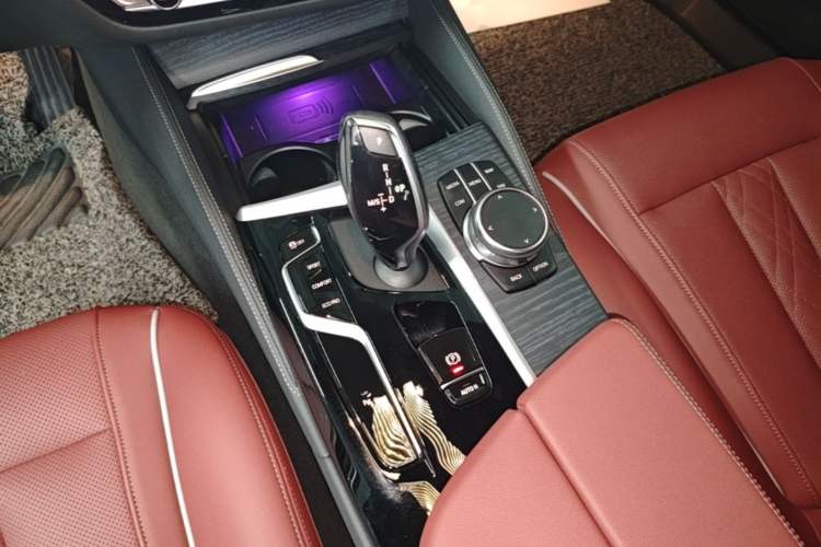 Used BMW 5 Series 2022 Second Facelift 530Li Leading Edition M Sport Package Gear Lever