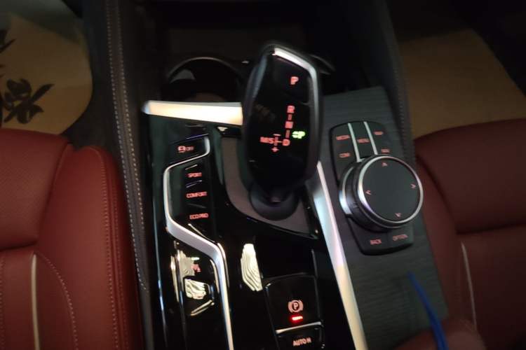 Used BMW 5 Series 2022 Revised Version 3 530Li Luxury Edition M Sport Package Gear Lever