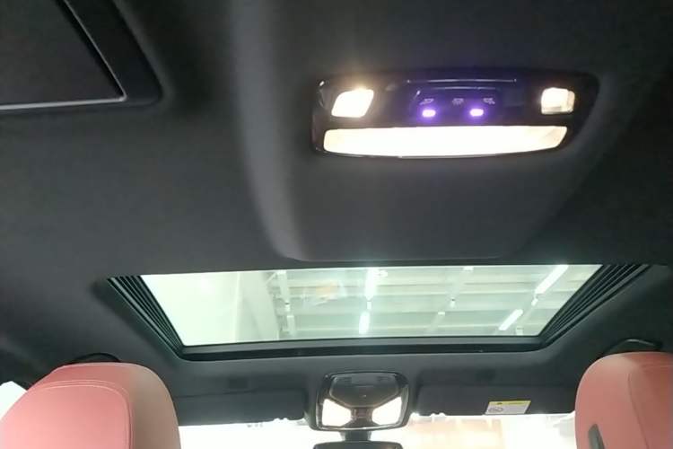 Used BMW 5 Series 2022 Second Facelift 525Li M Sport Package Headliner