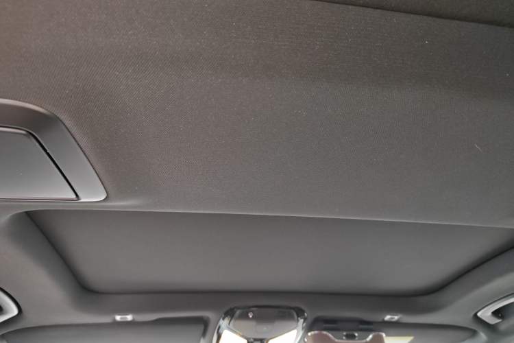 Used BMW 5 Series 2022 Second Facelift 530Li Luxury Version M Sport Package Headliner