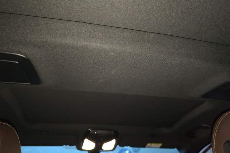 Used BMW 5 Series 2022 530Li Leading Model M Sport Package Headliner
