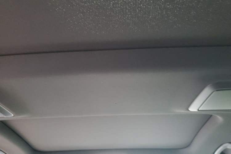 Used BMW 5 Series 2022 Second Facelift 530Li Leading Edition M Sport Package Headliner