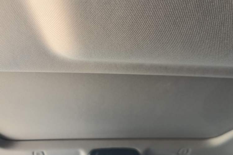 Used BMW 5 Series 2022 Second Facelift 525Li Luxury Package Headliner