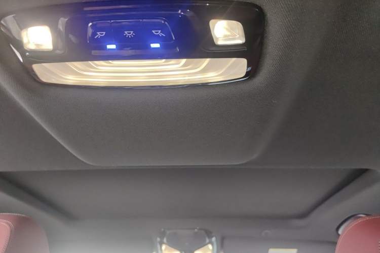 Used BMW 5 Series 2022 Second Facelift 525Li M Sport Package Headliner