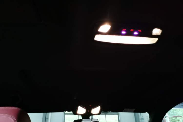 Used BMW 5 Series 2022 Second Facelift 525Li M Sport Package Headliner