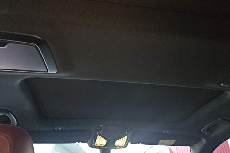 Used BMW 5 Series 2022 Second Facelift 530Li Leading Edition M Sport Package Headliner