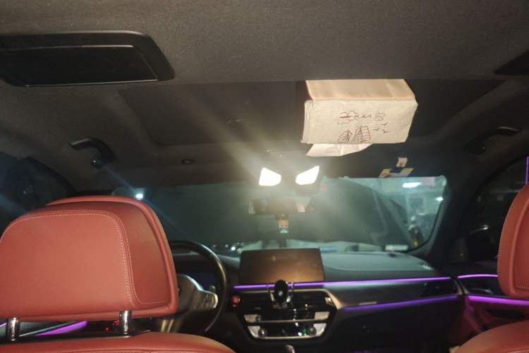 Used BMW 5 Series 2022 530Li Luxury Edition M Sport Package Headliner