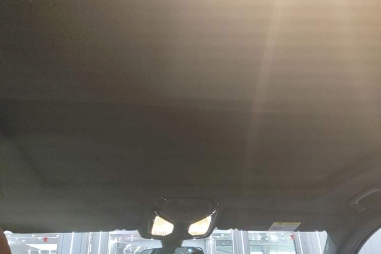 Used BMW 5 Series 2022 Second Facelift 525Li M Sport Package Headliner