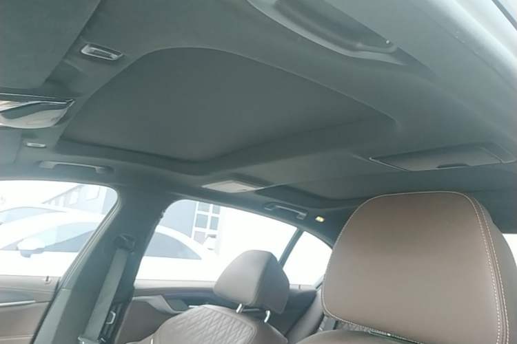 Used BMW 5 Series 2022 Second Facelift 530Li Luxury Version M Sport Package Headliner
