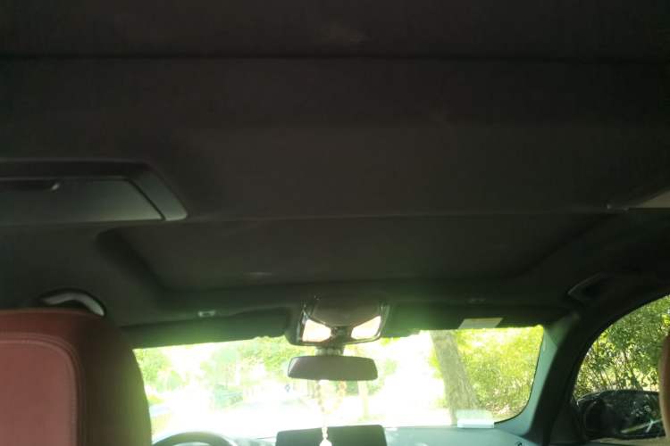 Used BMW 5 Series 2022 Restyled 530Li Leading Edition M Sport Package Headliner