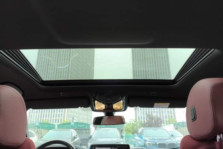 Used BMW 5 Series 2022 Second Facelift 525Li M Sport Package Headliner