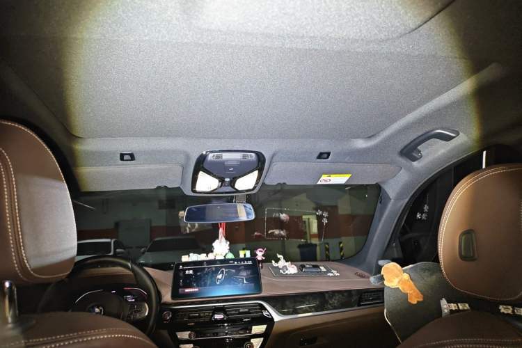 Used BMW 5 Series 2022 Second Facelift 525Li M Sport Package Headliner