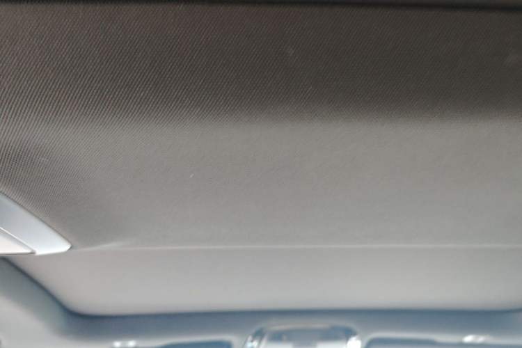 Used BMW 5 Series 2022 530Li Leading Model M Sport Package Headliner