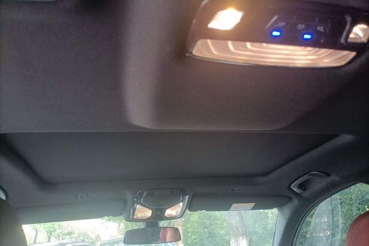 Used BMW 5 Series 2022 Restyled 525Li M Sport Package Headliner