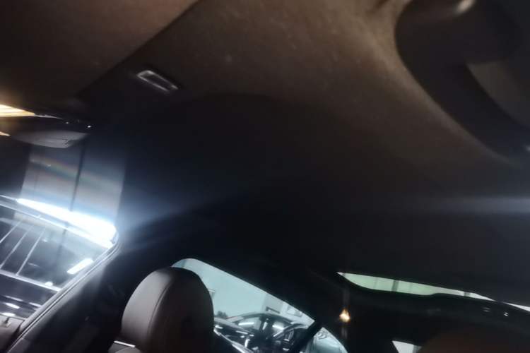 Used BMW 5 Series 2022 530Li Leading Model M Sport Package Headliner