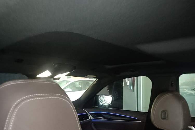 Used BMW 5 Series 2022 Second Facelift 525Li M Sport Package Headliner