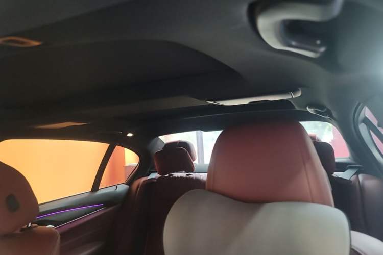 Used BMW 5 Series 2022 Second Facelift 530Li Leading Edition M Sport Package Headliner