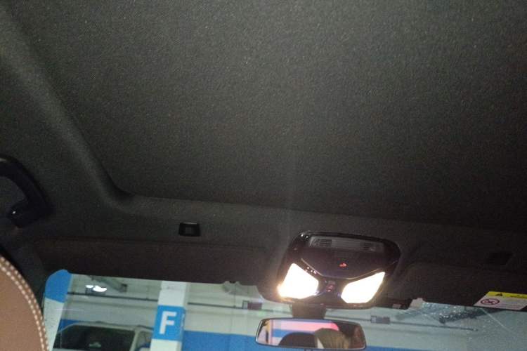 Used BMW 5 Series 2022 Second Facelift 525Li M Sport Package Headliner