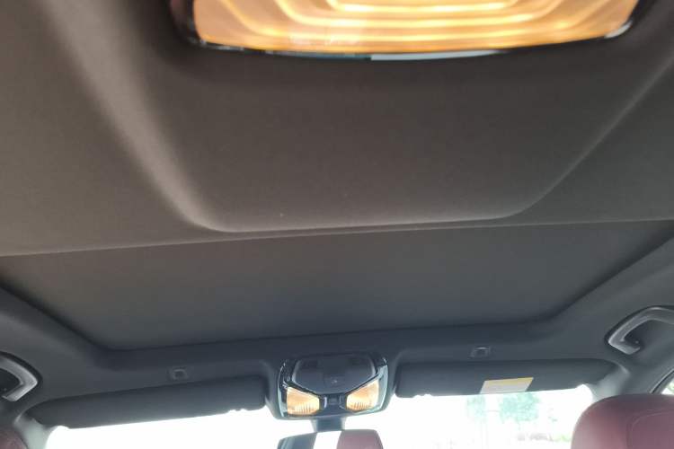 Used BMW 5 Series 2022 Restyled 525Li M Sport Package Headliner