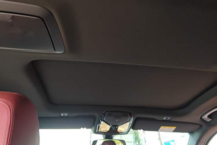 Used BMW 5 Series 2022 530Li Leading Model M Sport Package Headliner