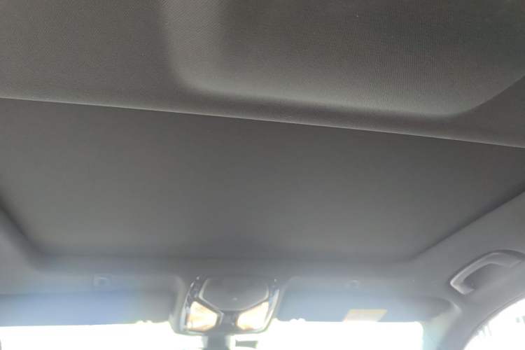 Used BMW 5 Series 2022 Second Facelift 525Li M Sport Package Headliner