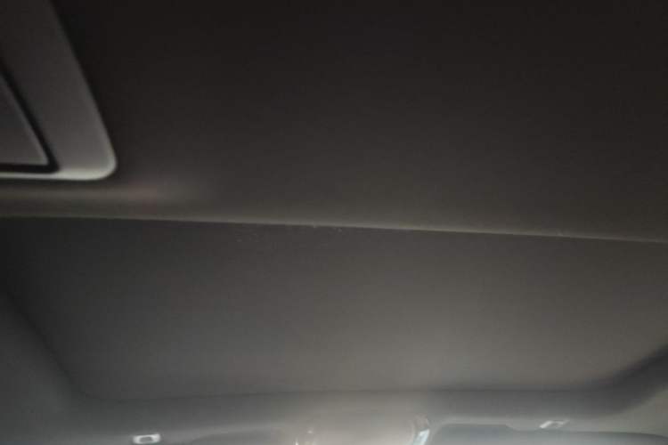 Used BMW 5 Series 2022 530Li Leading Model M Sport Package Headliner
