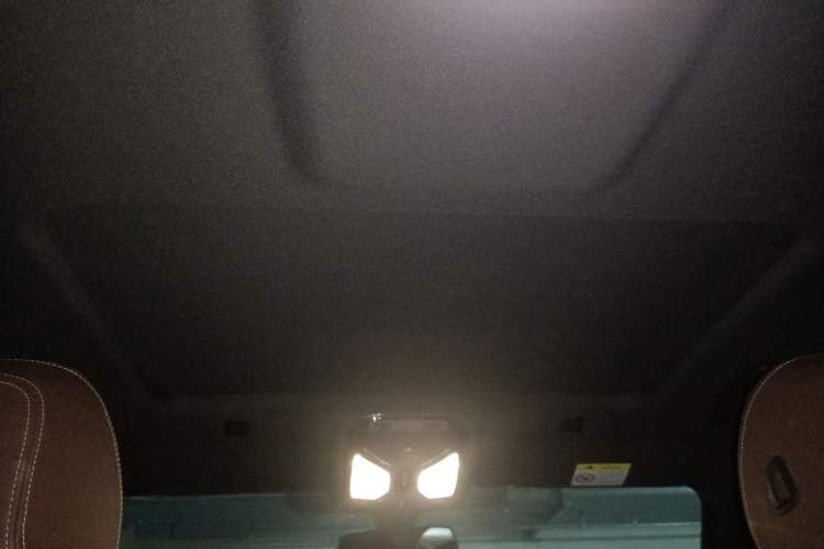 Used BMW 5 Series 2022 Second Facelift 525Li M Sport Package Headliner