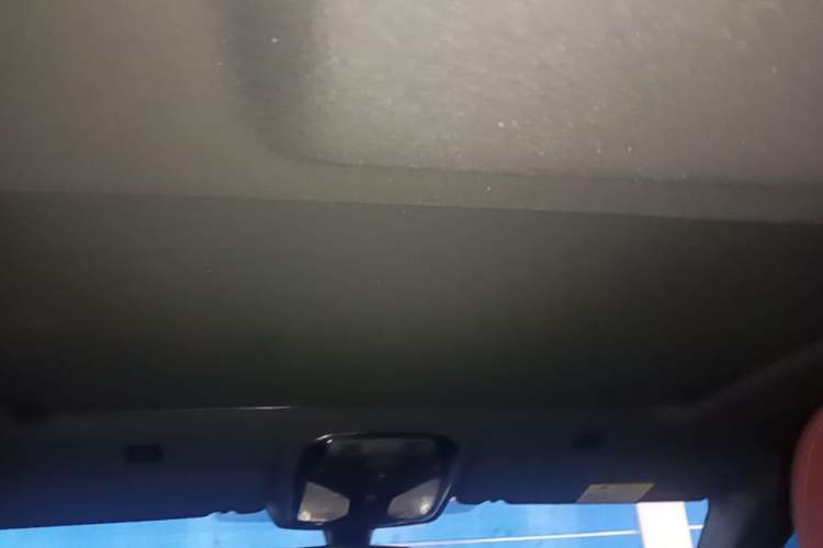 Used BMW 5 Series 2022 Second Facelift 525Li M Sport Package Headliner