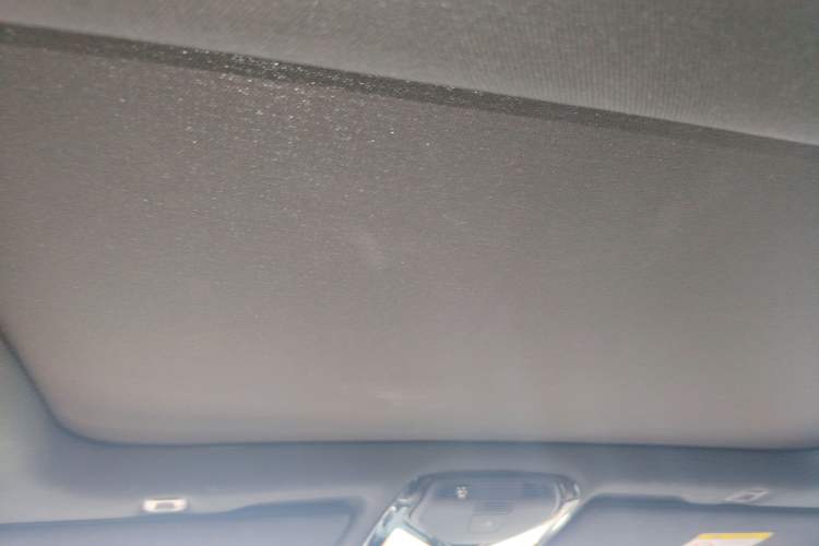 Used BMW 5 Series 2022 Revised Version 3 530Li Luxury Edition M Sport Package Headliner