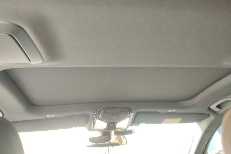 Used BMW 5 Series 2022 Revised Version 530Li xDrive M Sport Package Headliner