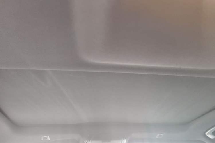 Used BMW 5 Series 2022 Second Facelift 525Li M Sport Package Headliner