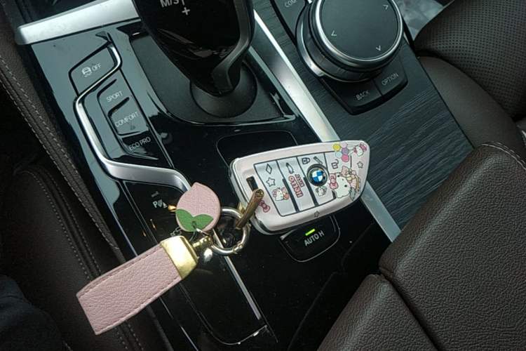 Used BMW 5 Series 2022 Second Facelift 530Li Luxury Version M Sport Package Interior 1